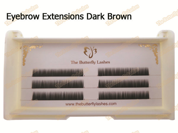 Eyebrow Extensions Dark Brown
